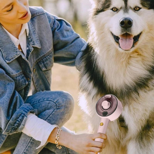 Top 5 Grooming Tips for Dogs at Home