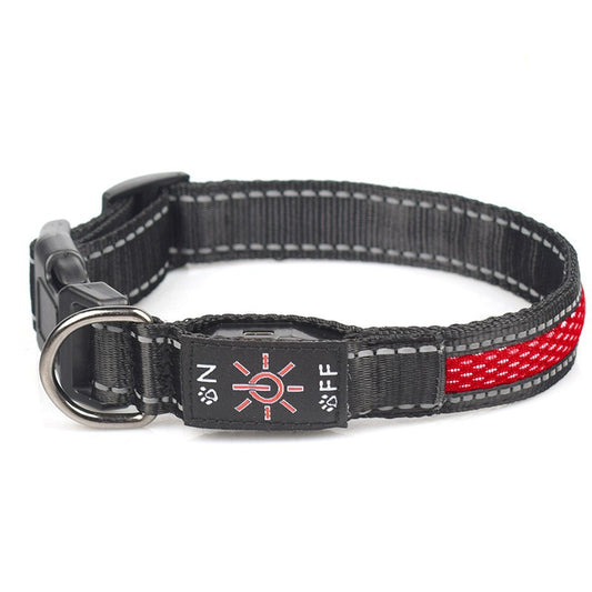 Crufty LED dog collar lit up showing bright all-around glow