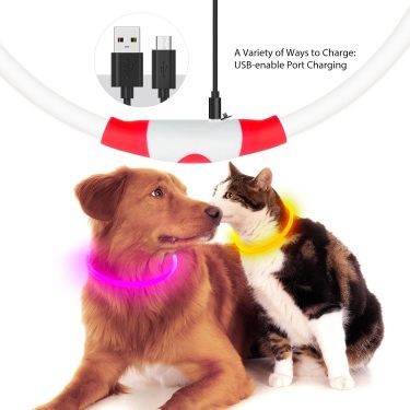 Crufty LED Safety Collar — Essentials