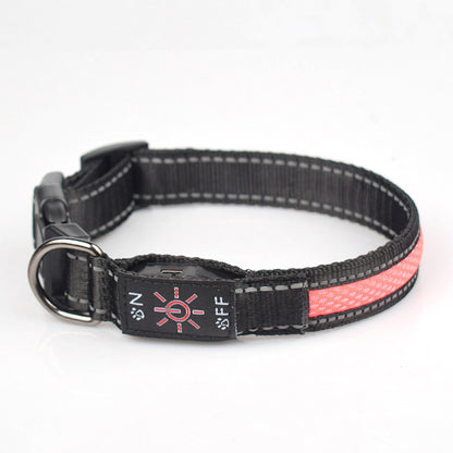 Crufty LED safety collar shown in multiple colour options
