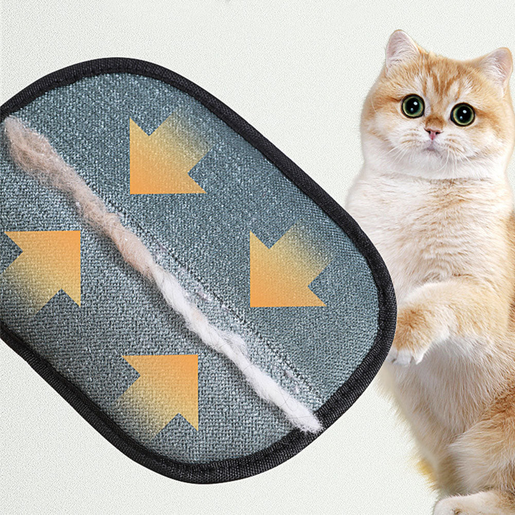 Crufty PawClean glove being used on a cat