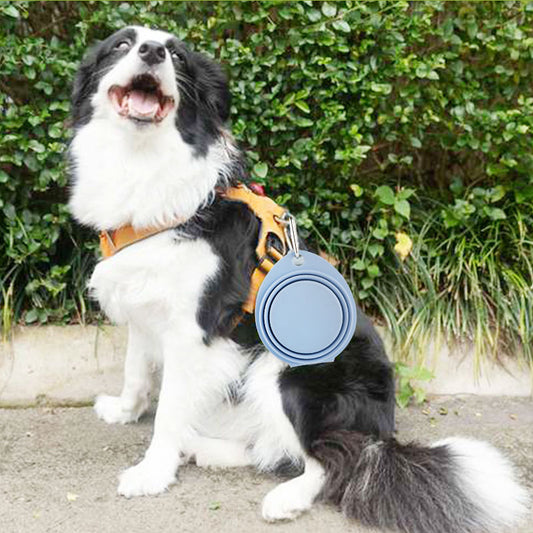 Crufty FoldBowl — Collapsible Silicone Pet Bowl for Travel
