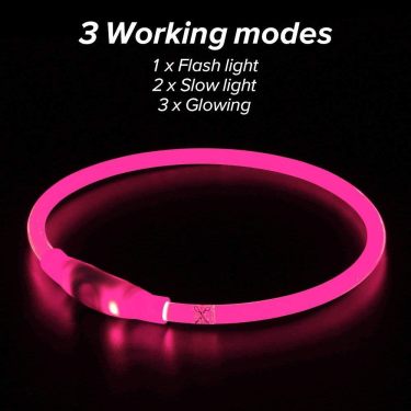 Crufty LED Safety Collar — Essentials