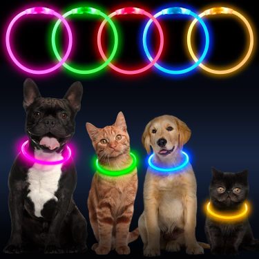 Crufty LED Safety Collar — Essentials