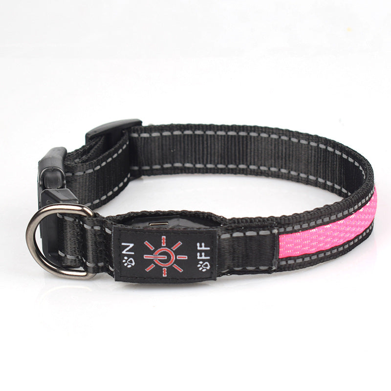 Nylon mesh LED dog collar worn around a dog's neck