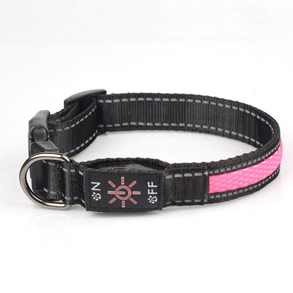Nylon mesh LED dog collar worn around a dog's neck
