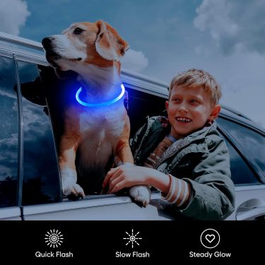Crufty LED Safety Collar — Essentials