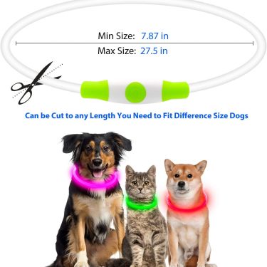 Crufty LED Safety Collar — Essentials