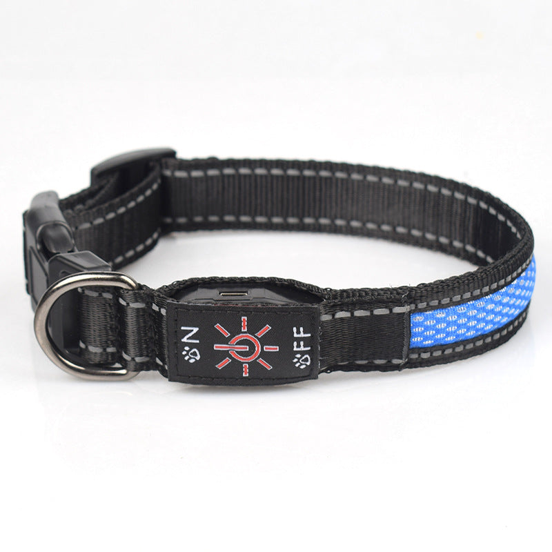 Close-up of Crufty LED rechargeable dog collar band and buckle