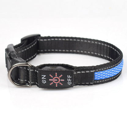 Close-up of Crufty LED rechargeable dog collar band and buckle