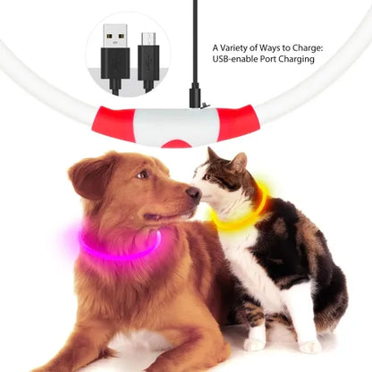 Crufty LED safety collar colour options for dogs and cats
